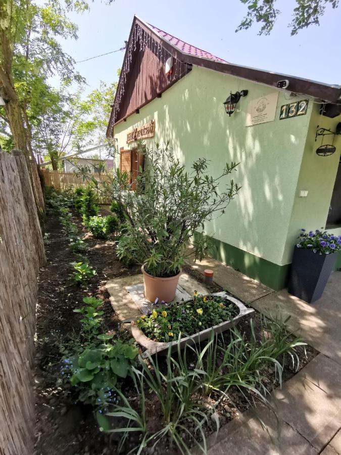 Berko Vendeghaz Apartment Rakoczifalva Exterior photo